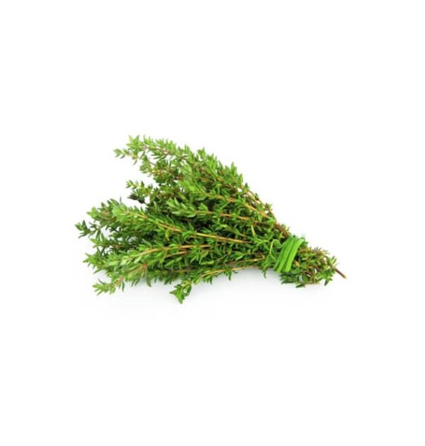 Thyme