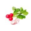 red radish