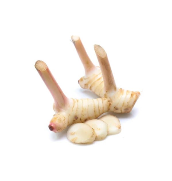 Galangal