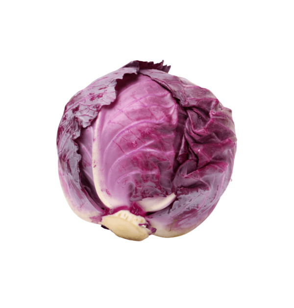 Red cabbage