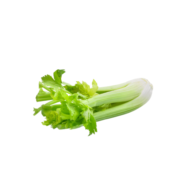 Celery Imported