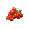 Red Cherry Tomato