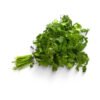 coriander