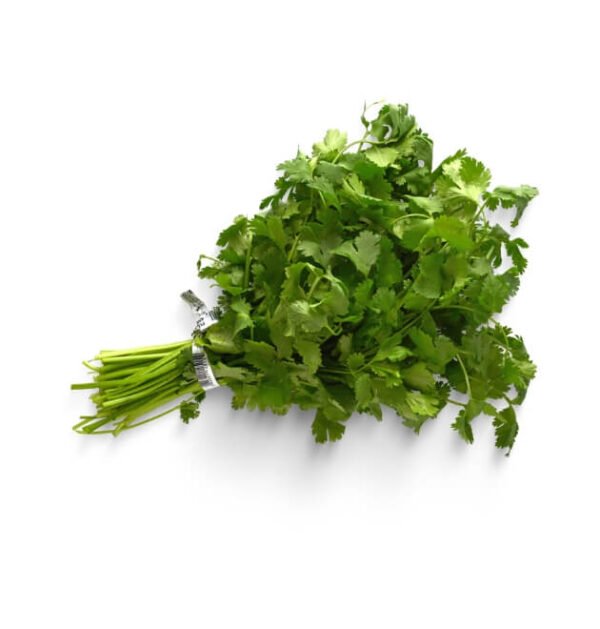 coriander