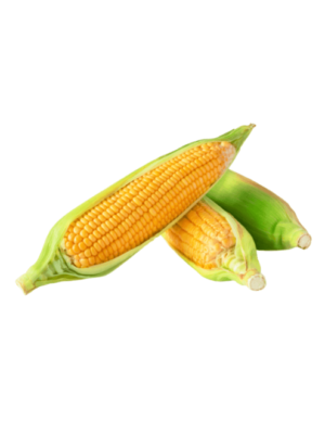 corn