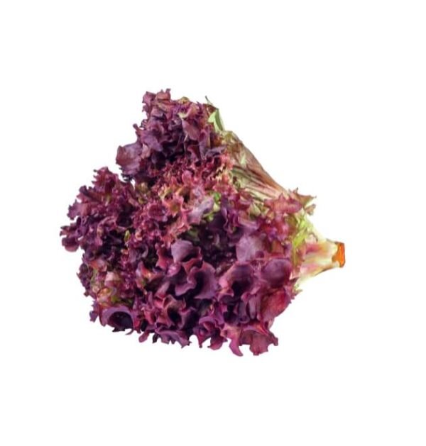 lettuce Lollo rosso