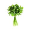 parsley