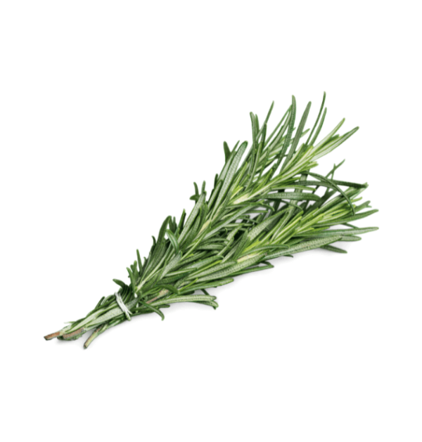 rosemary