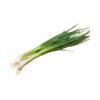 spring onion