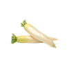 White Radish